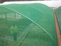 SIATKA OSŁONOWA cieniująca 62% CIEŃ